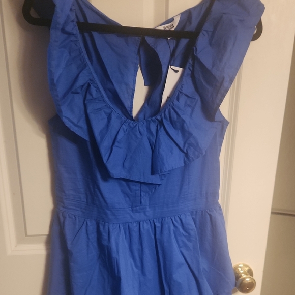 Blue Ruffle Sleeveless Dress - Picture 4 of 5
